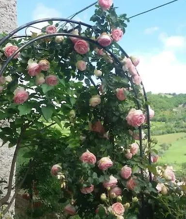 Incontro La Dove Si Perde Il Giorno Casa vacanze *